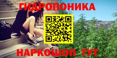 мдма Моздок