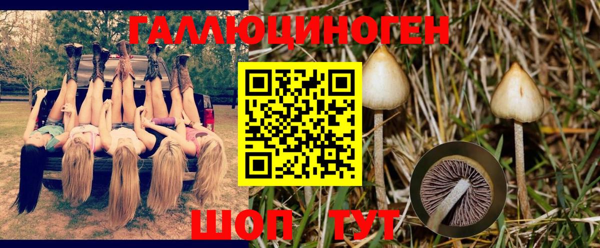 Псилоцибиновые грибы ЛСД  Вход с VPN  Галлюциногенные грибы прущие грибы  Ухта 